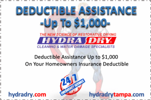 Mold Removal Orlando Florida