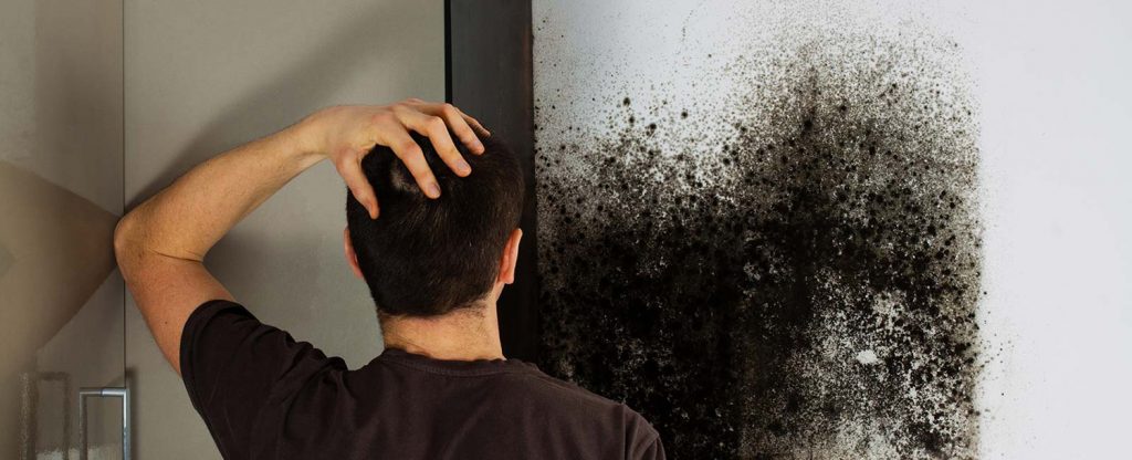 Black Mold Removal Orlando