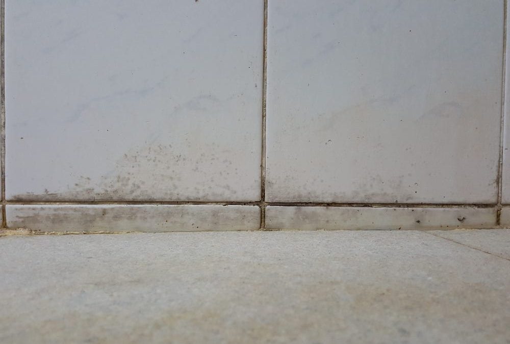 Find out if your Home Has Mold