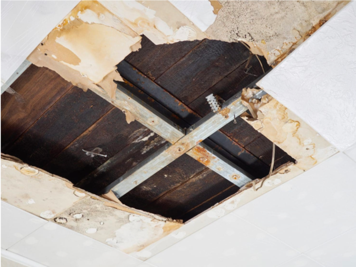 Essential FAQs About Water Restoration And Your Home